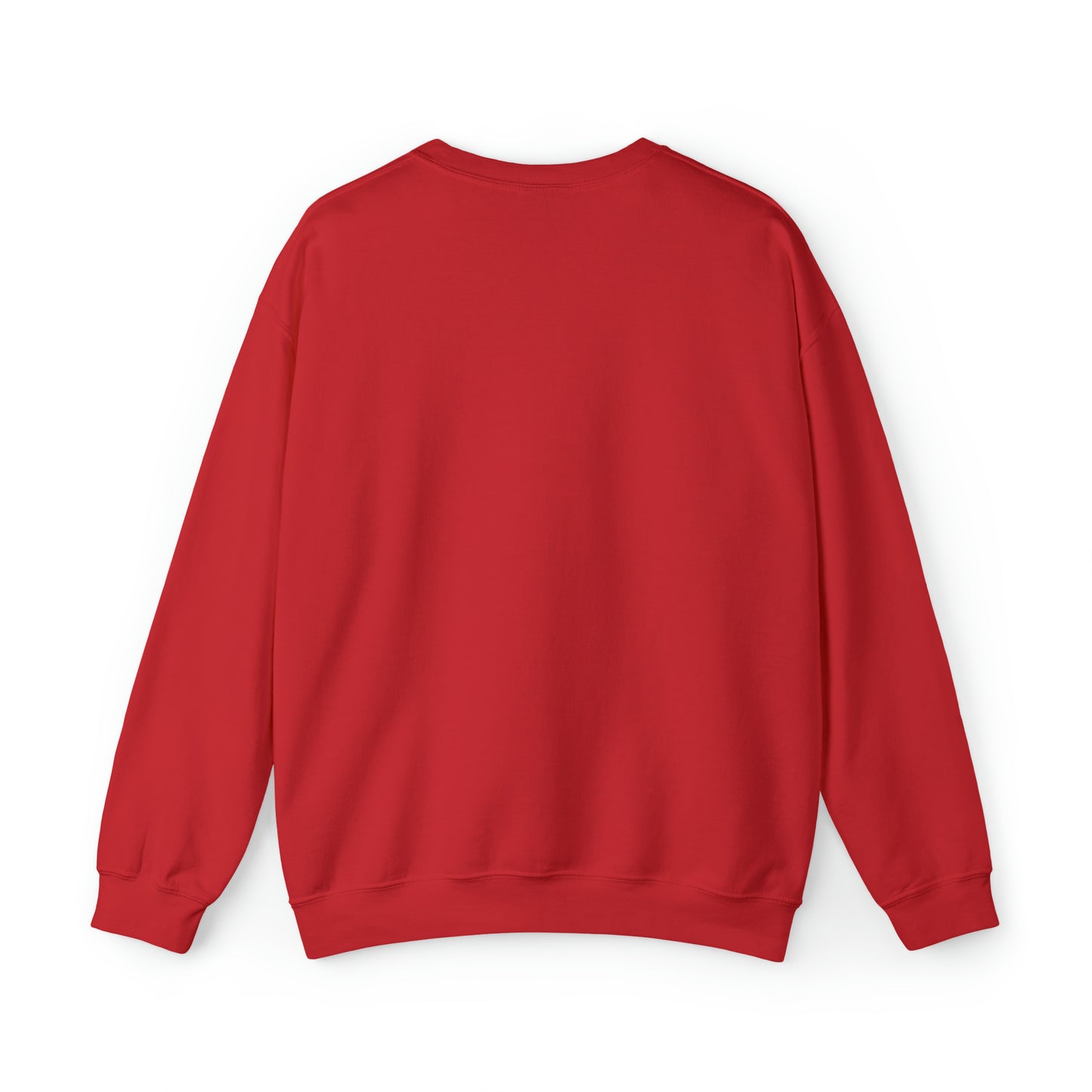 Beautiful and Unique winters sweatshirt for women